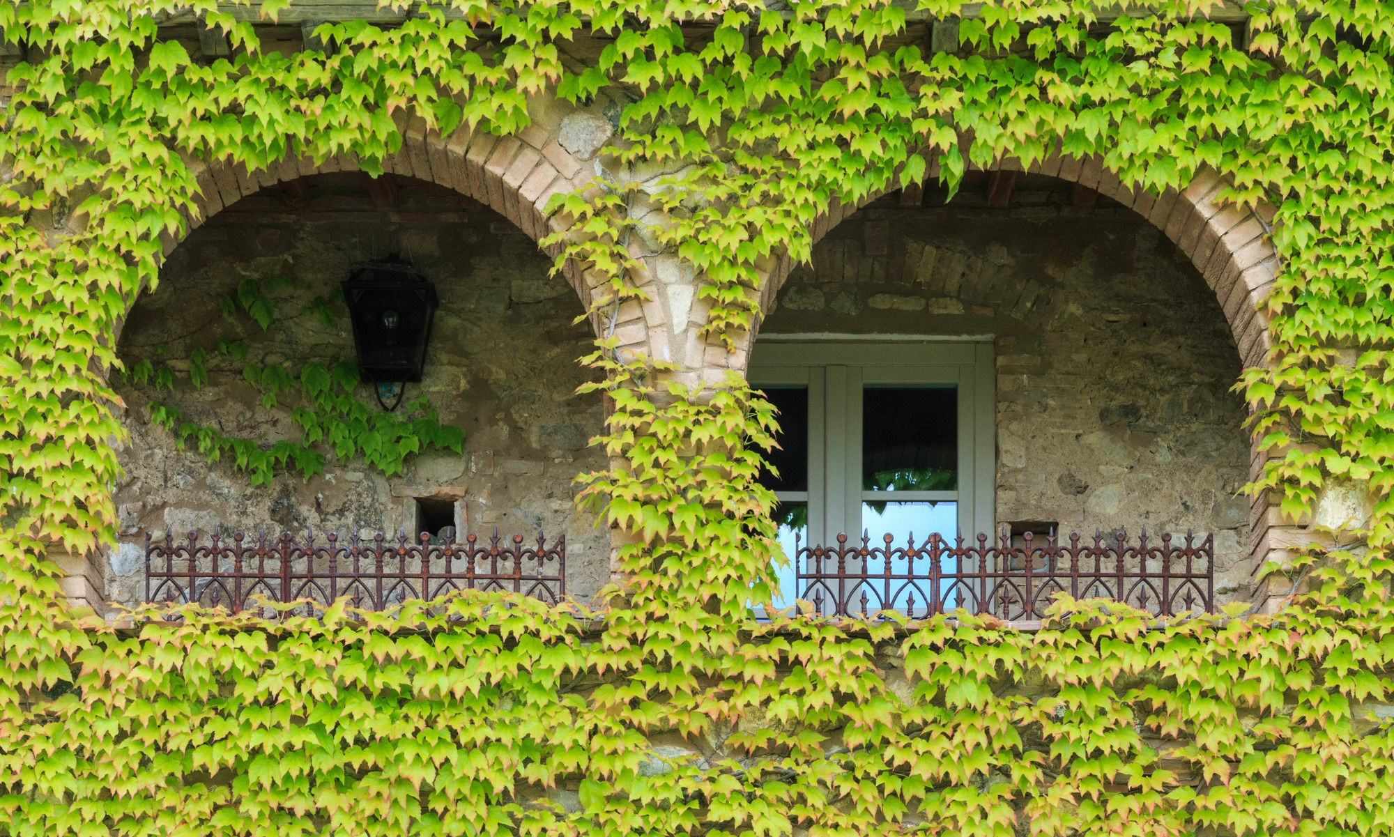 Bed and Breakfast Relais Sant'Elena Bibbona Zewnętrze zdjęcie